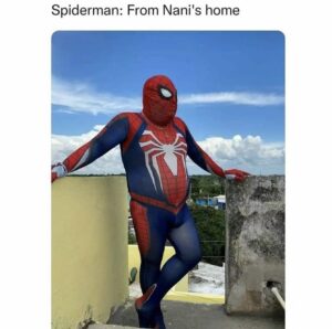 spiderman memes 6